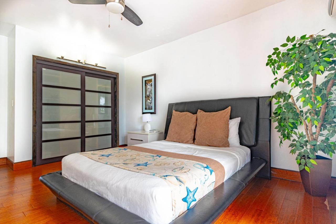 נסאו Caprice 14 - Oceanfront Villa - Gated Community With Pool מראה חיצוני תמונה